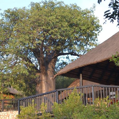 Adansonia Eco Lodge Musina Exteriér fotografie