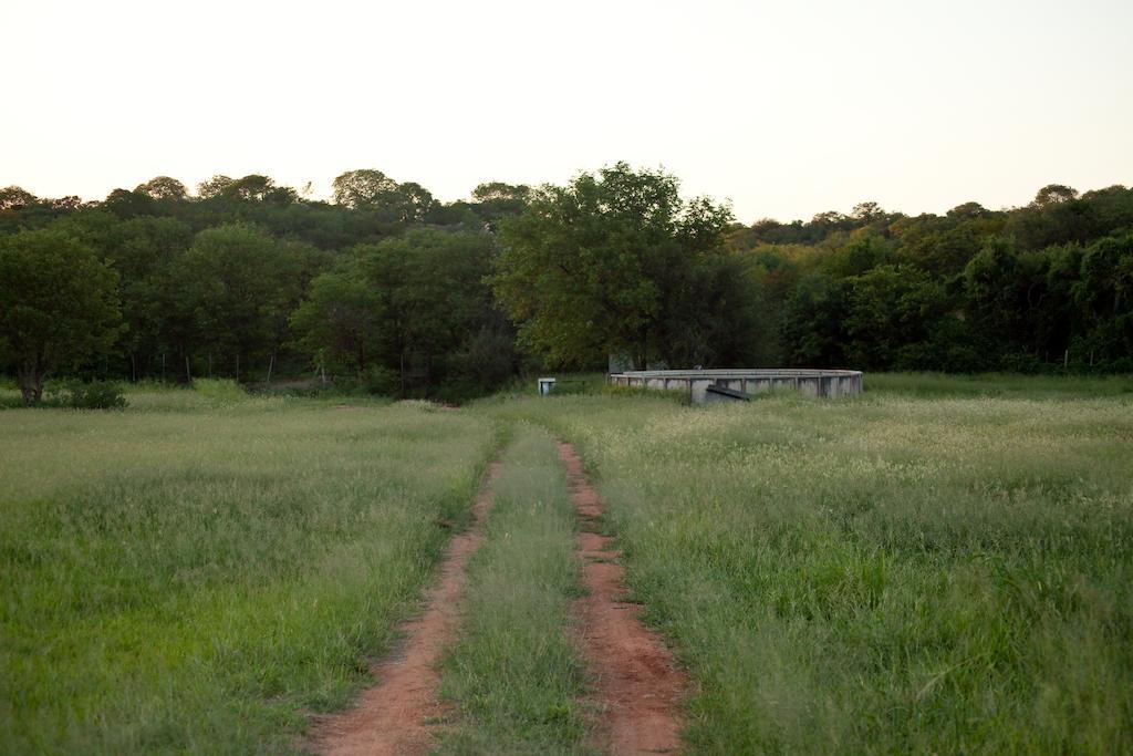Adansonia Eco Lodge Musina Exteriér fotografie