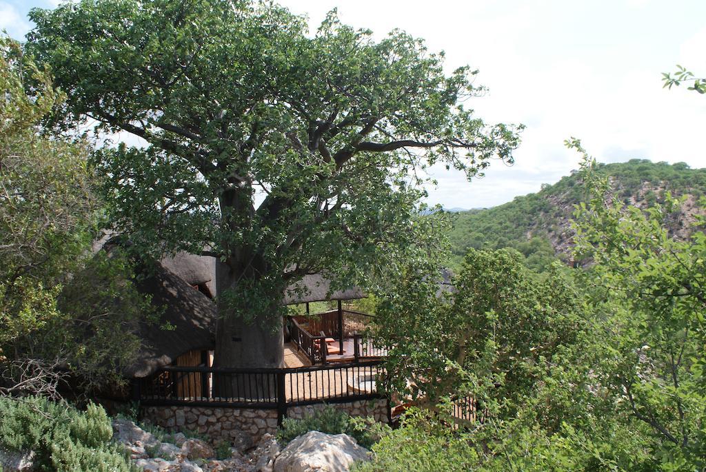 Adansonia Eco Lodge Musina Exteriér fotografie