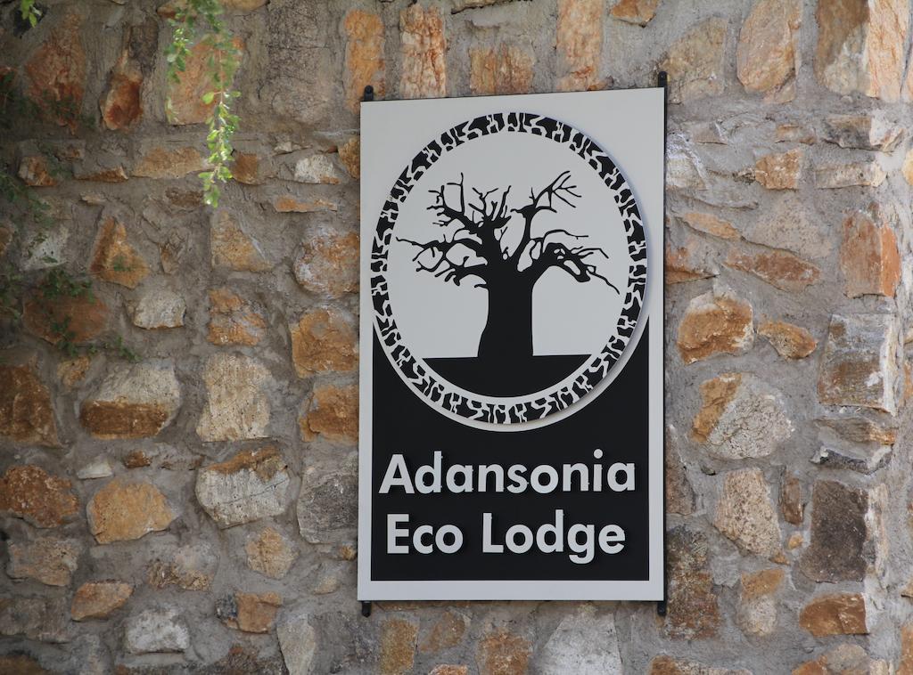 Adansonia Eco Lodge Musina Exteriér fotografie