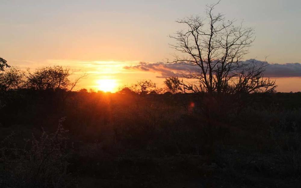 Adansonia Eco Lodge Musina Exteriér fotografie