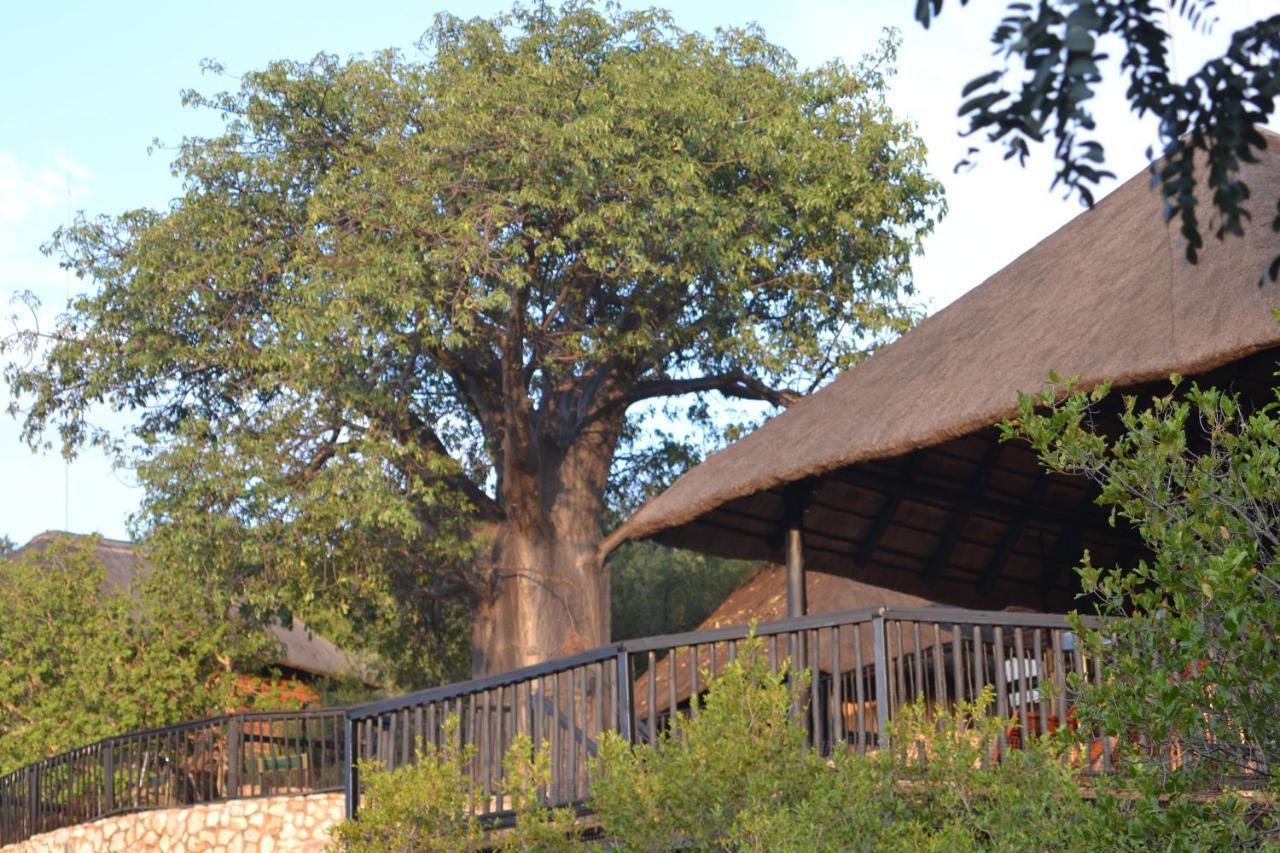 Adansonia Eco Lodge Musina Exteriér fotografie